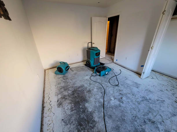 Best Water damage restoration near me  in Loganville, PA