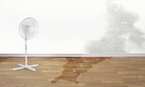 Best Flood restoration services  in Loganville, PA